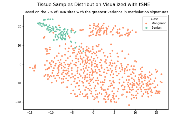 DNA Methylation Analysis